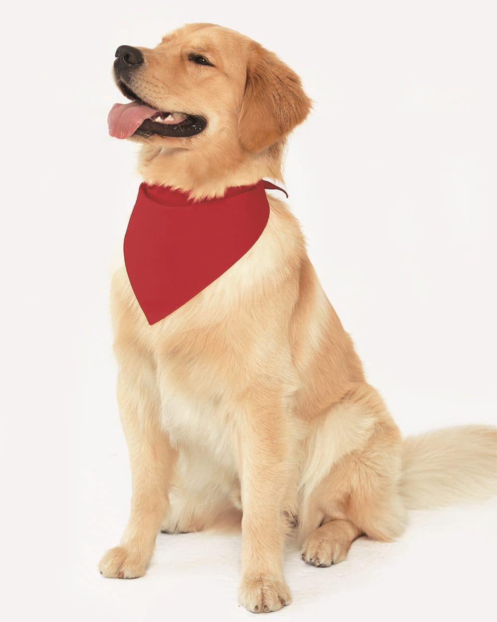 Doggie Skins USA-Made Doggie Bandana