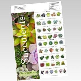 EDDM Full Service Sell Sheets - Image 1