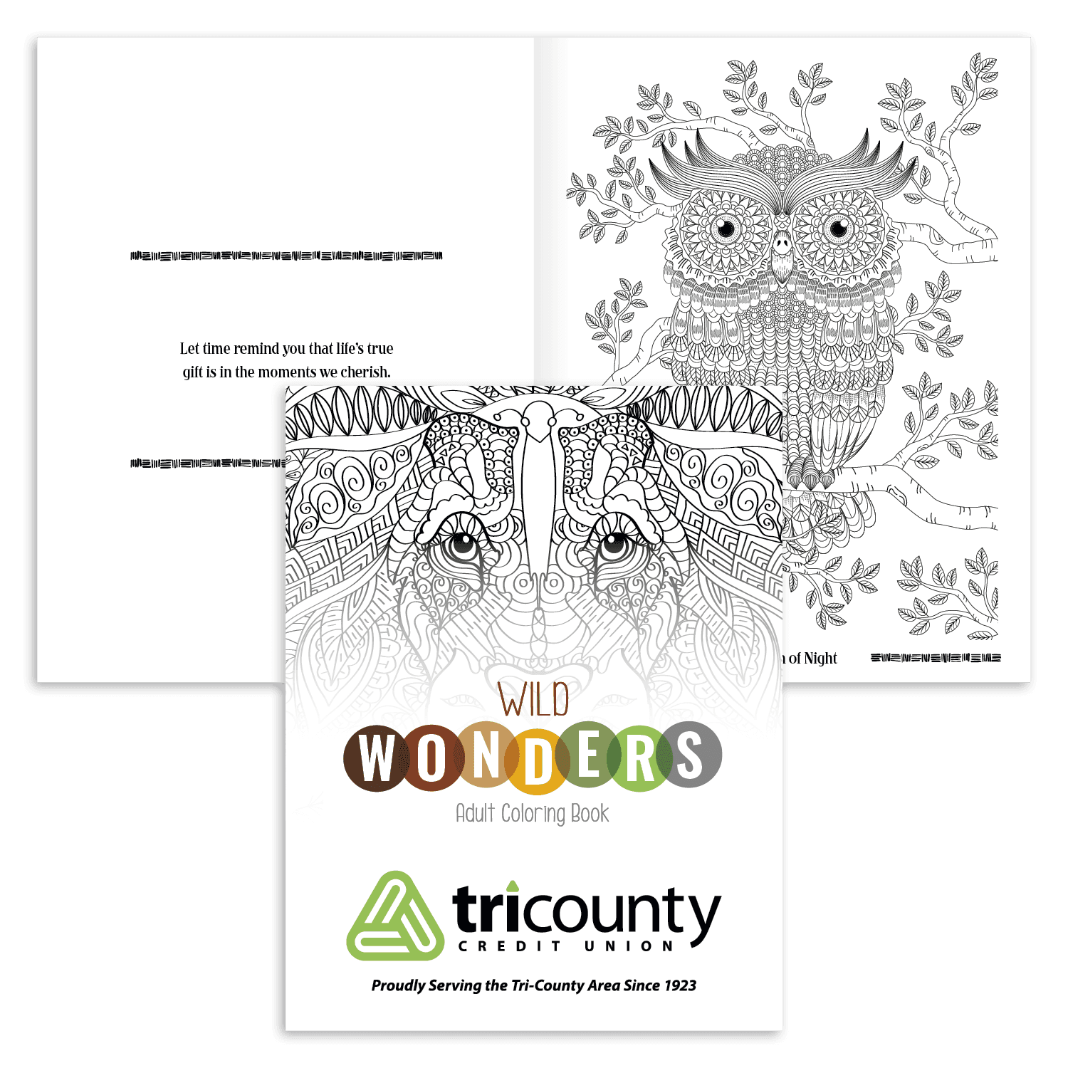 Good Value™ Wild Wonders Adult Coloring Book