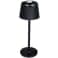 Recycled Mini Rechargeable Desk Lamp